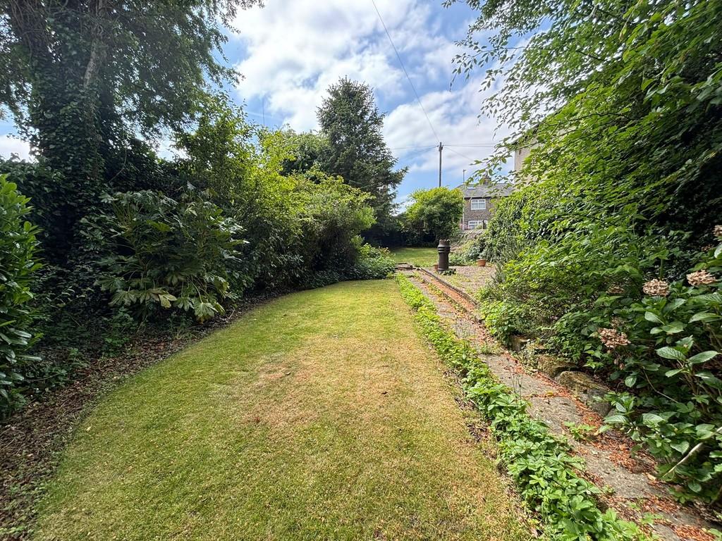 Back garden 3