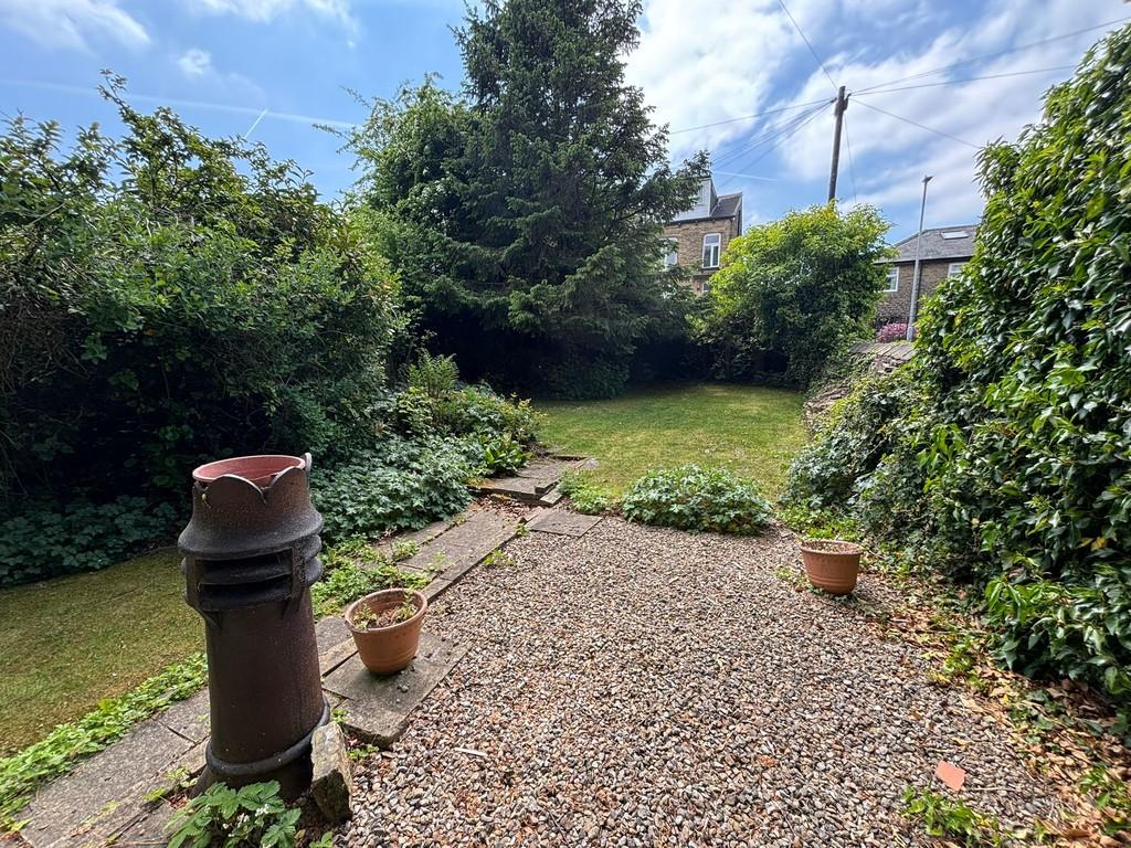 Back garden 2