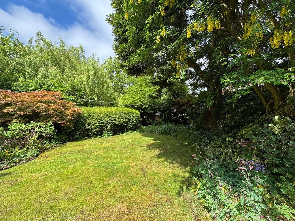 Front garden 1