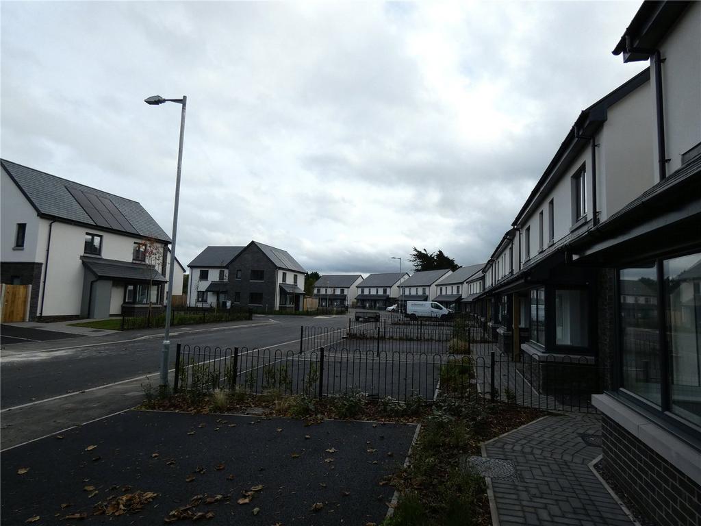 Cae Ffynnon