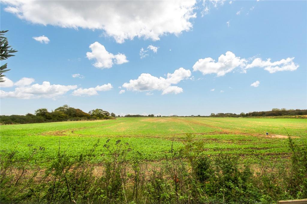 Field Views