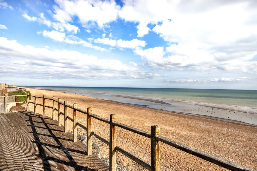 Along the beech