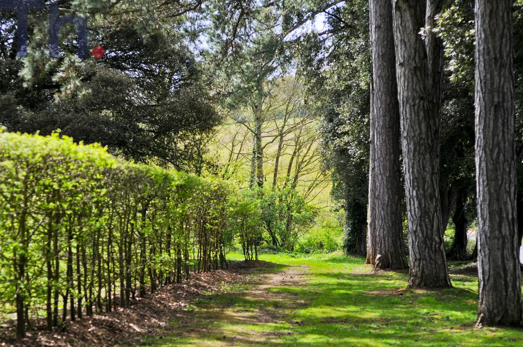 Communal Garounds &amp; Woodland.JPG
