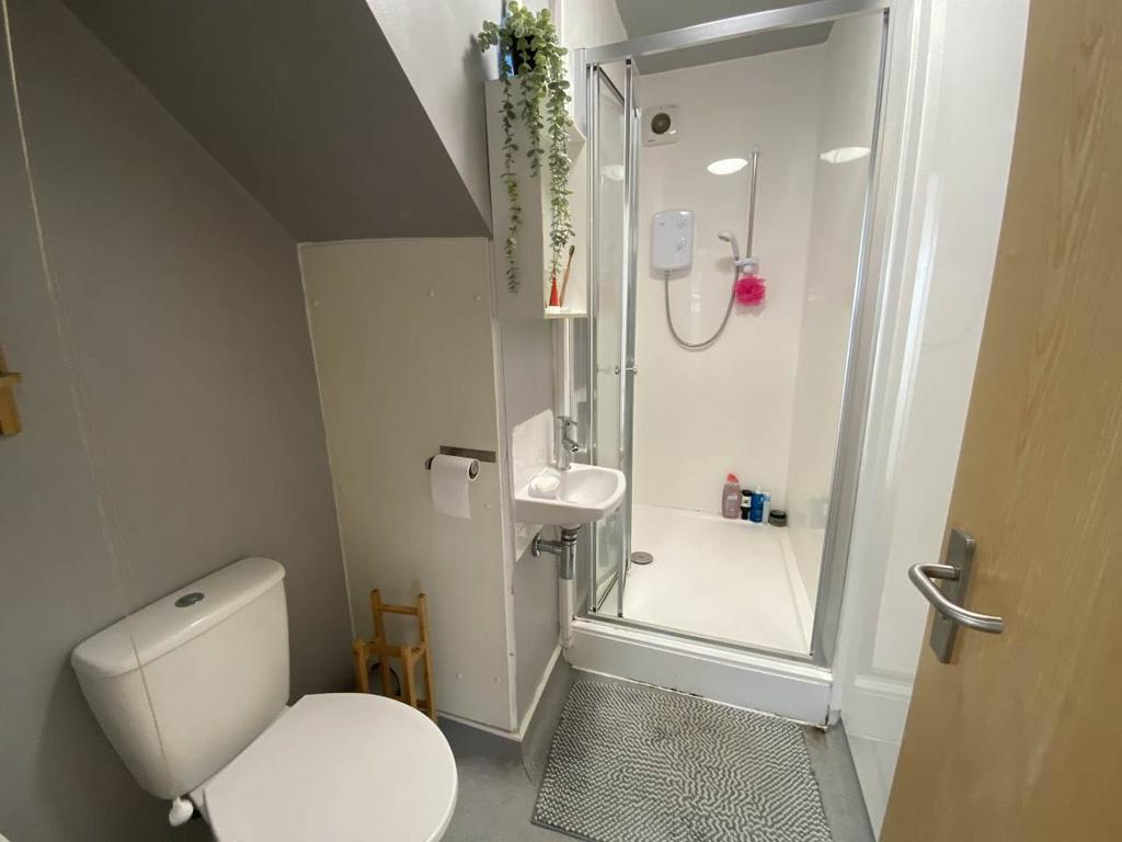 Attic Shower Room
