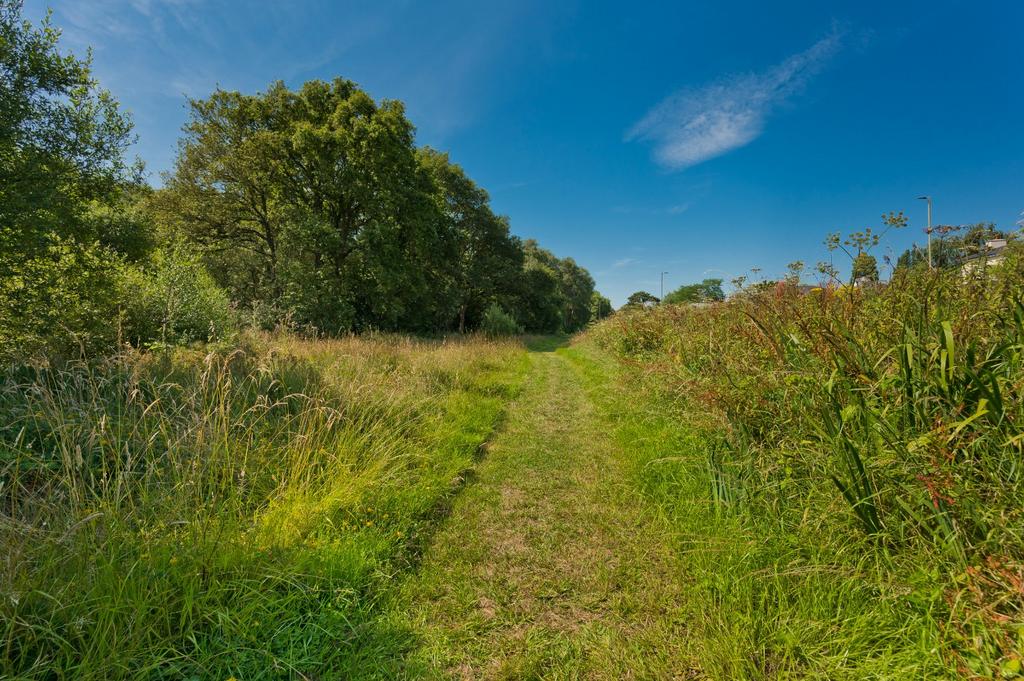 Littleworth Common