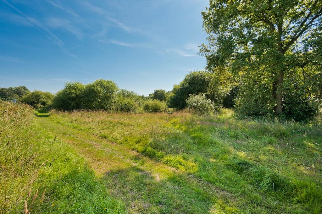 Littleworth Common