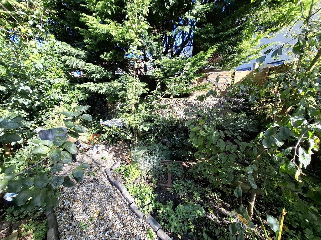 Back of garden.jpg