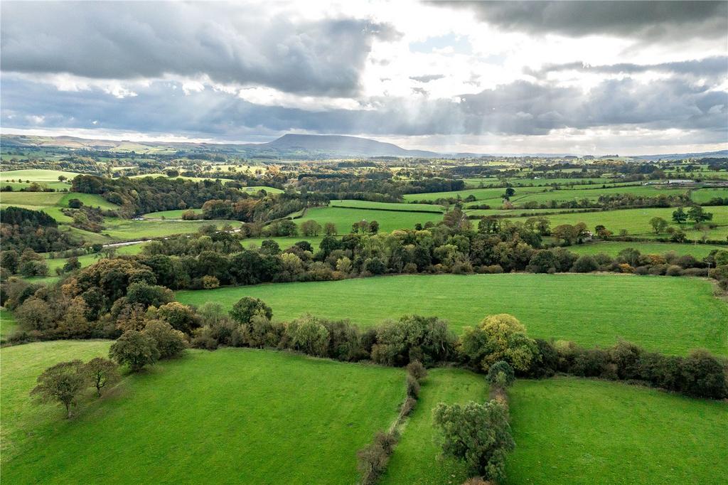 Drone View