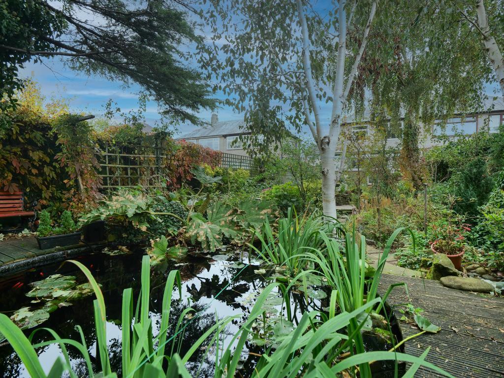 Pond