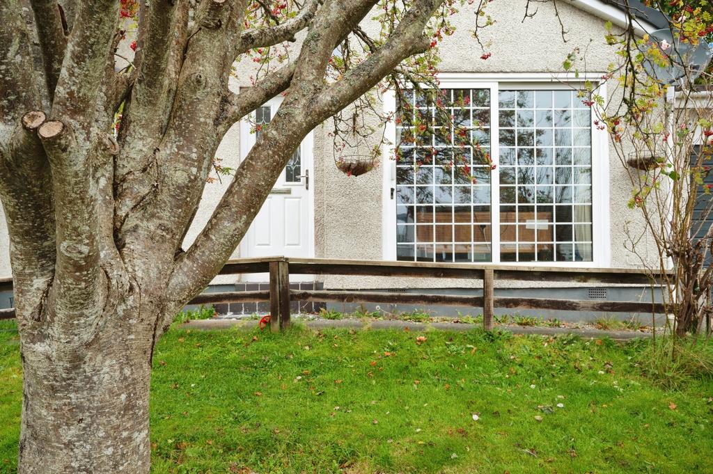 The Property