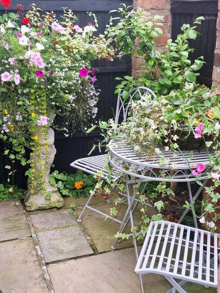 Courtyard garden