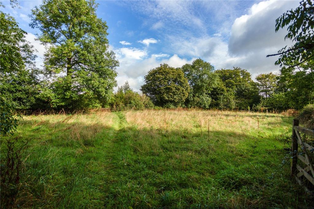 Grounds