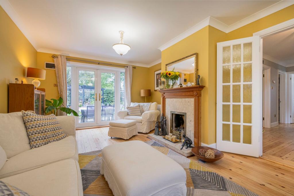 Feature Fireplace
