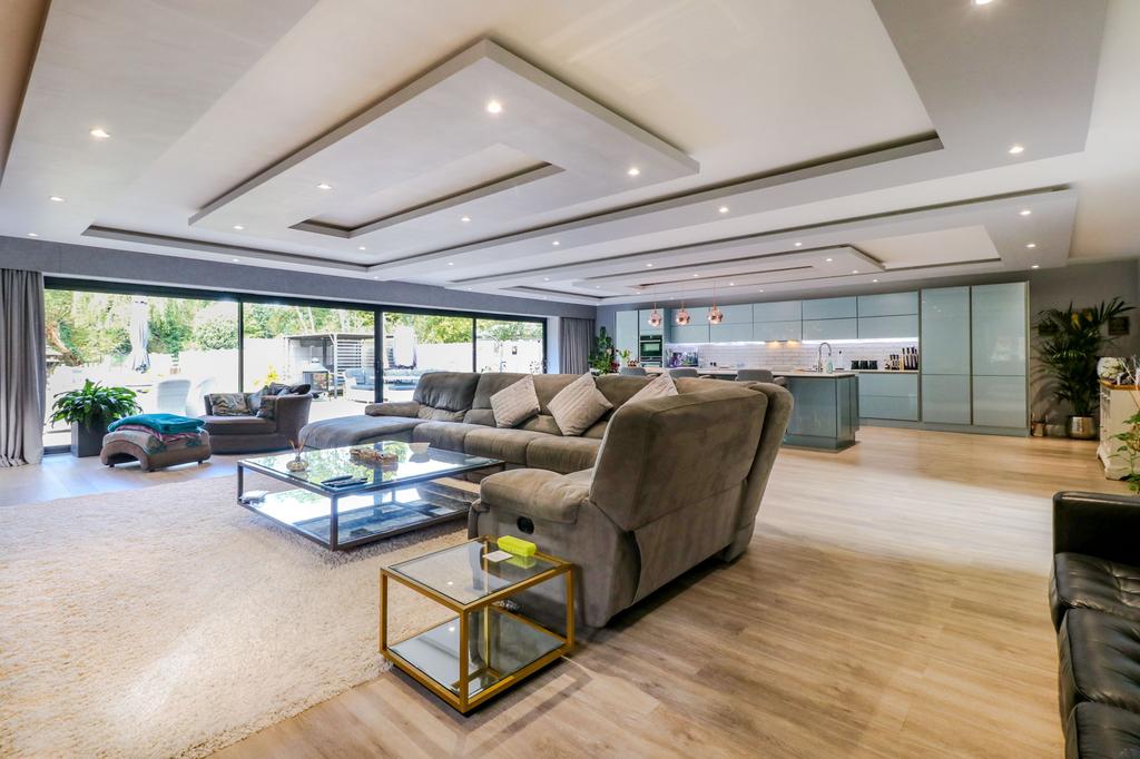 Sitting/Dining/Kitchen Area