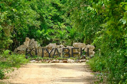 Land, Tulum, Mexico