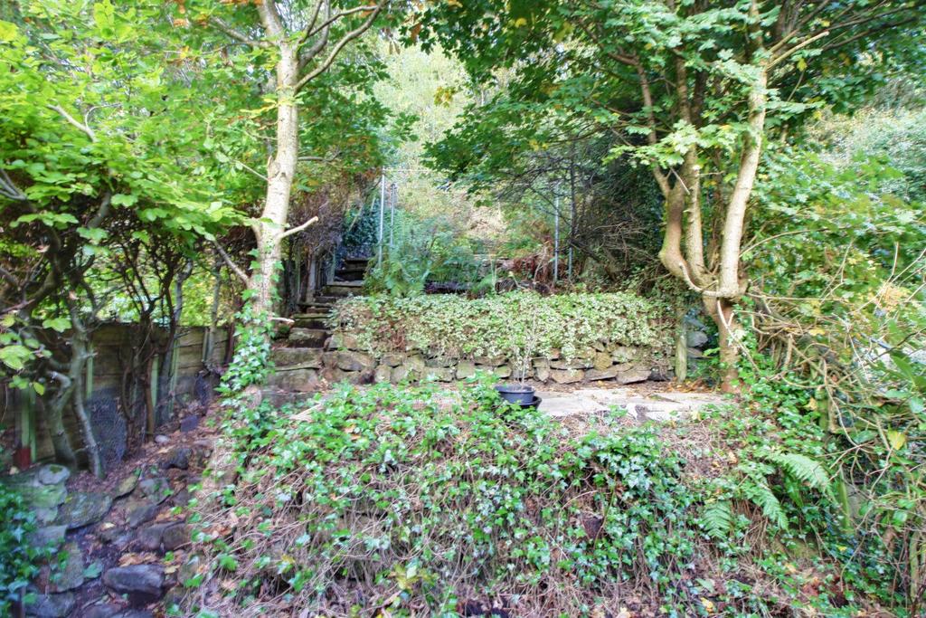 Back Garden