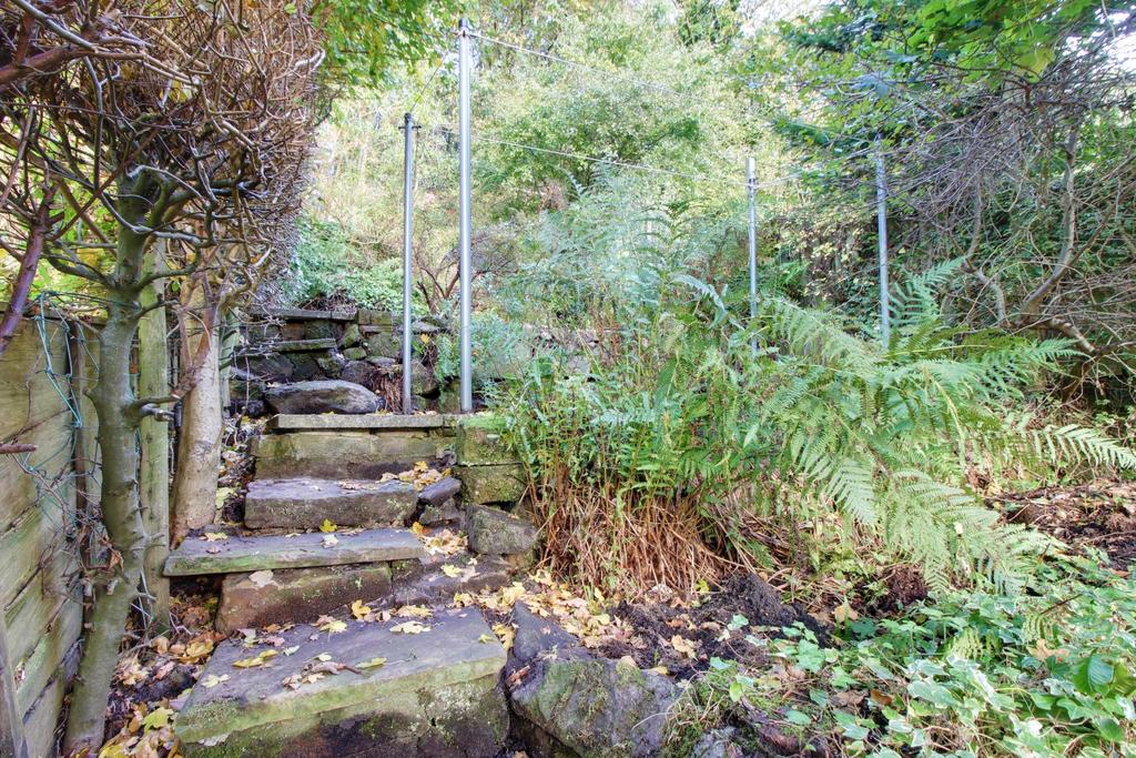 Back Garden