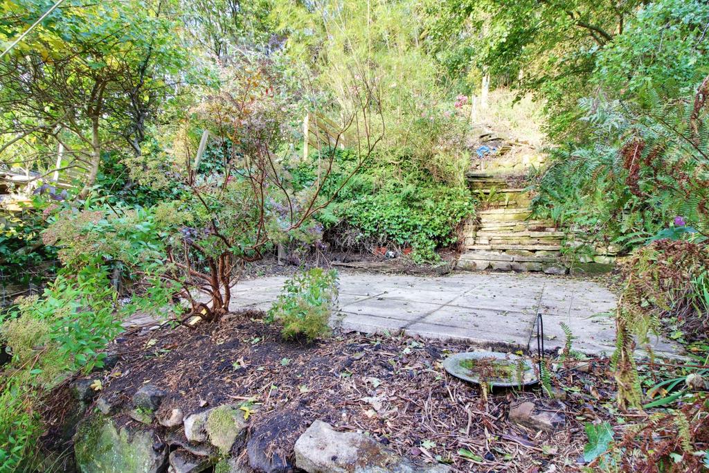 Back Garden