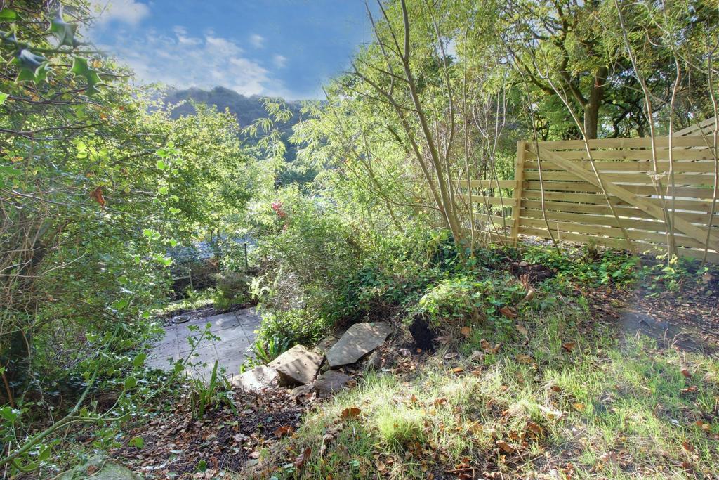 Back Garden