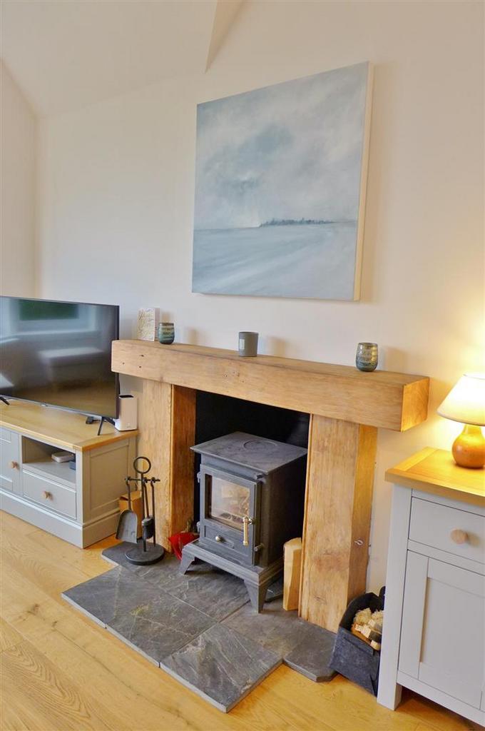 Lounge wood burning stove