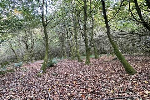 Woodland for sale, Dinas, Trelech, Carmarthenshire SA33