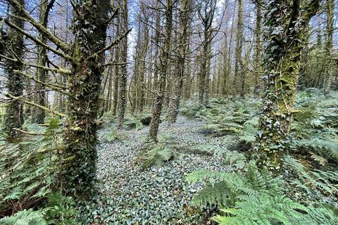 Woodland for sale, Dinas, Trelech, Carmarthenshire SA33