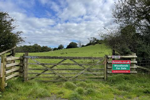 Woodland for sale, Llanerfyl, Welshpool SY21