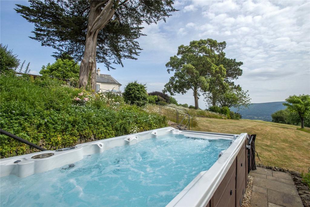 Swim Spa