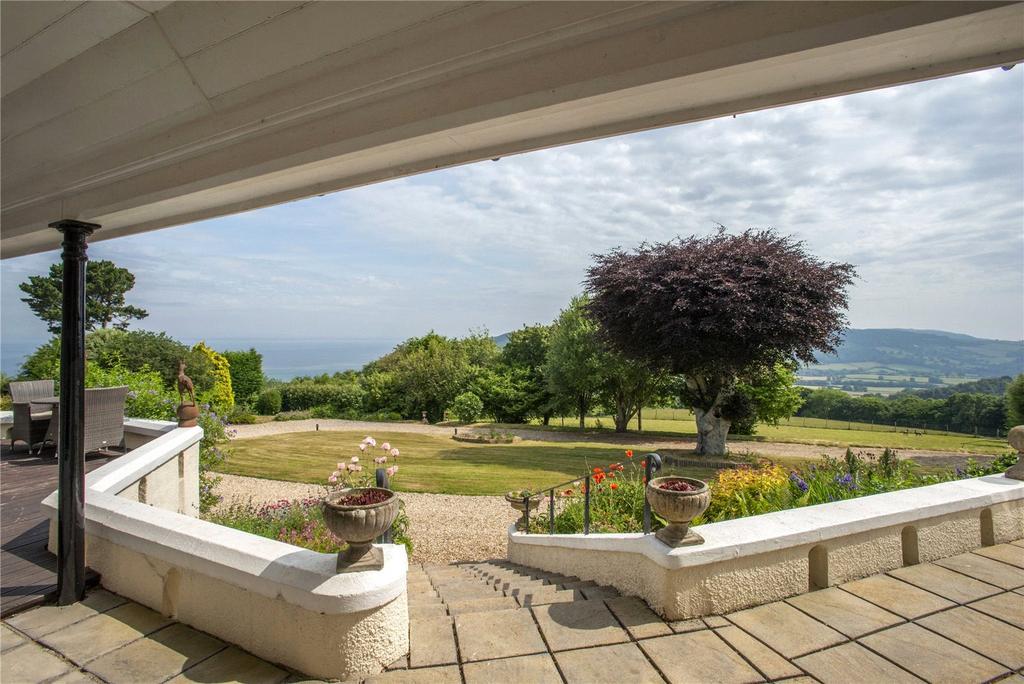 Terrace View