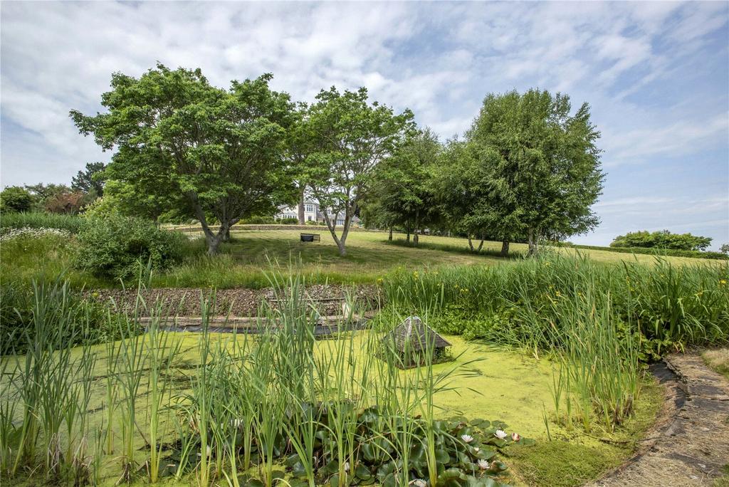 Pond &amp; Garden