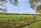 Field Views