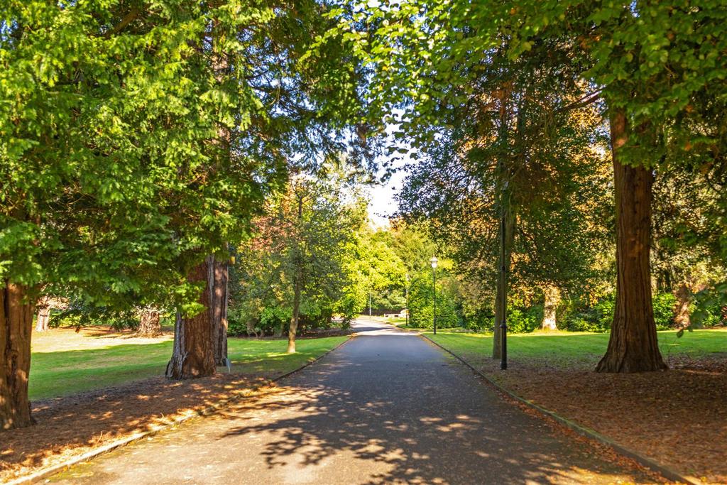 25 Holmesdale Park externals-28.jpg