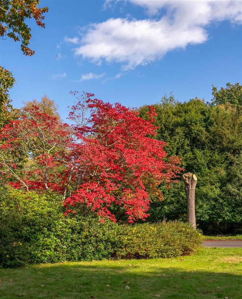 25 Holmesdale Park externals-41.jpg