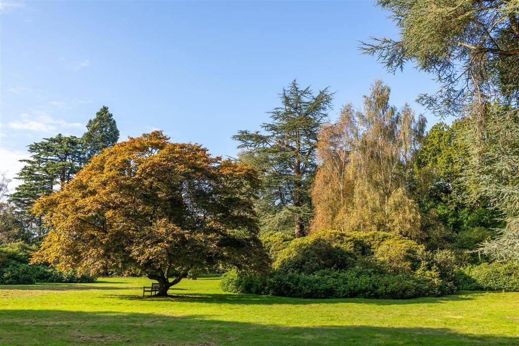 25 Holmesdale Park externals-42.jpg