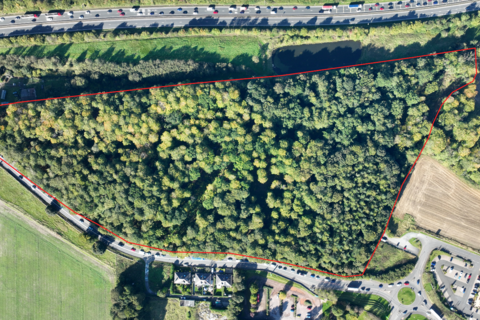 Woodland for sale, Lasswade EH18