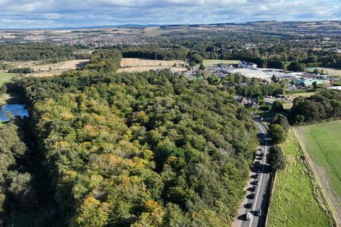 Woodland for sale, Lasswade EH18