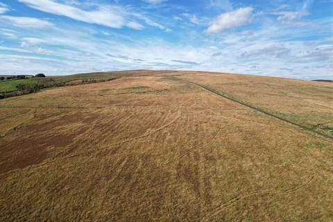 Land for sale, Coldtown Fell, West Woodburn, Hexham, Northumberland, NE48