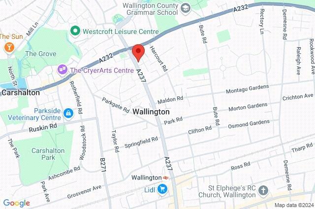 Google Maps Image