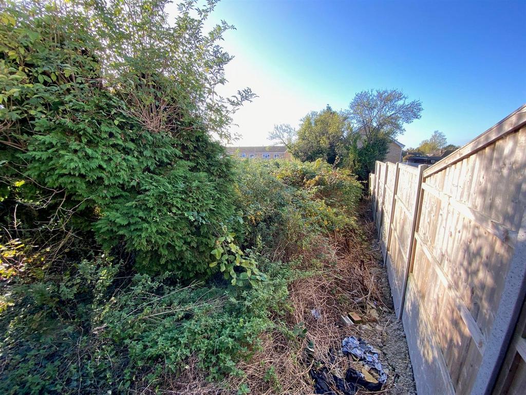 GARDEN.jpg