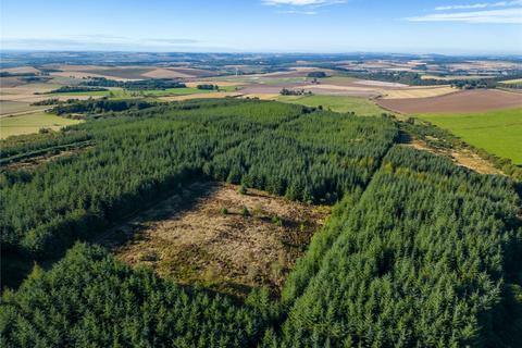 Land for sale, Brandshill, St. Cyrus, Montrose, Aberdeenshire, DD10