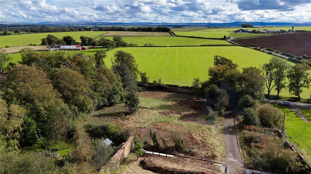 Daisy Bank Plots