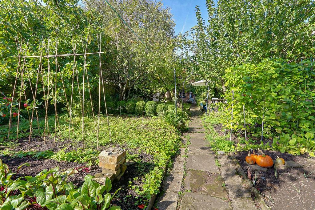 Vegetable Garden