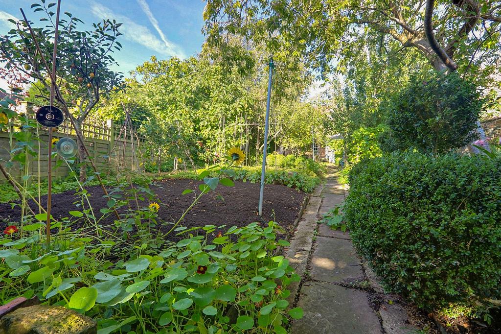 Vegetable Garden