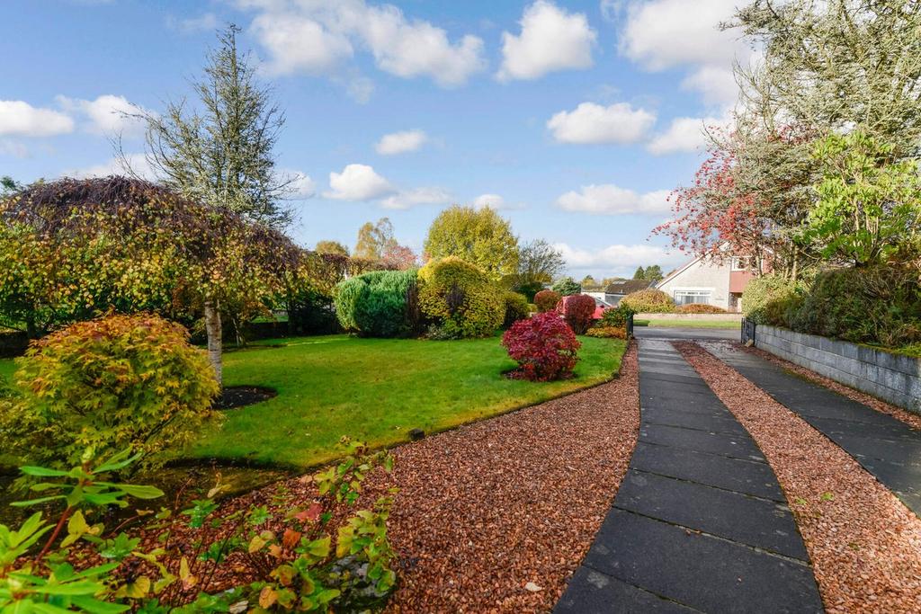 Front garden &amp; drive
