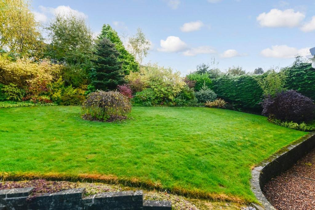 Back garden