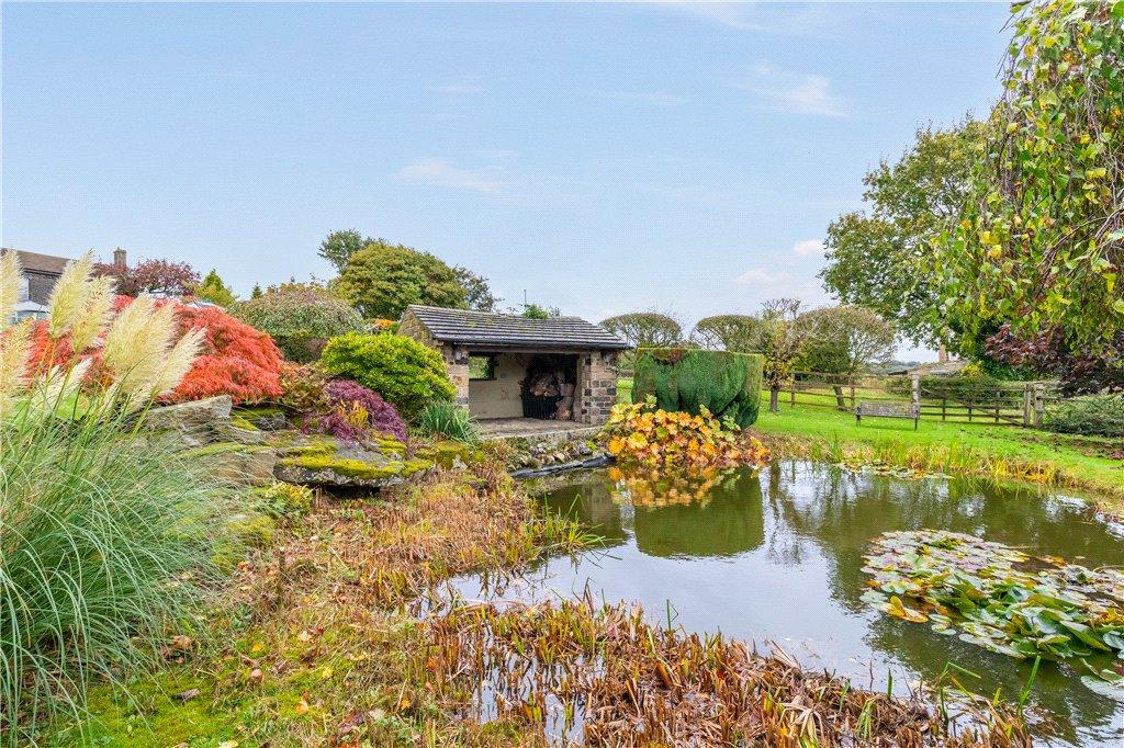 Pond