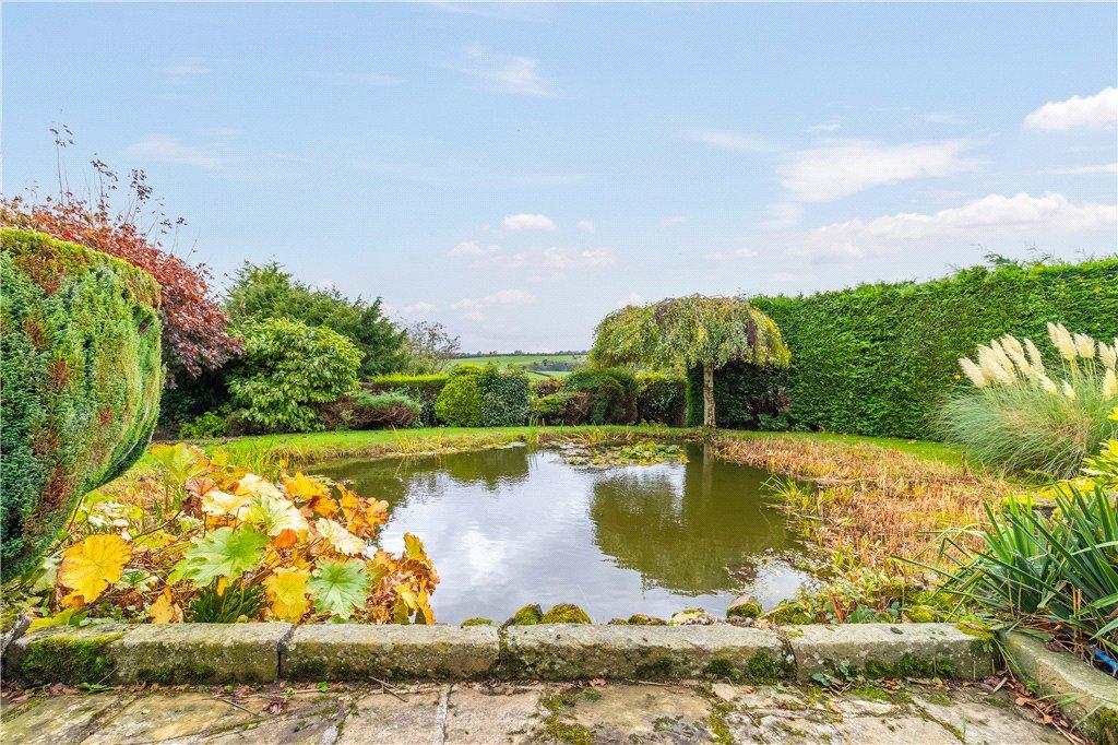 Pond