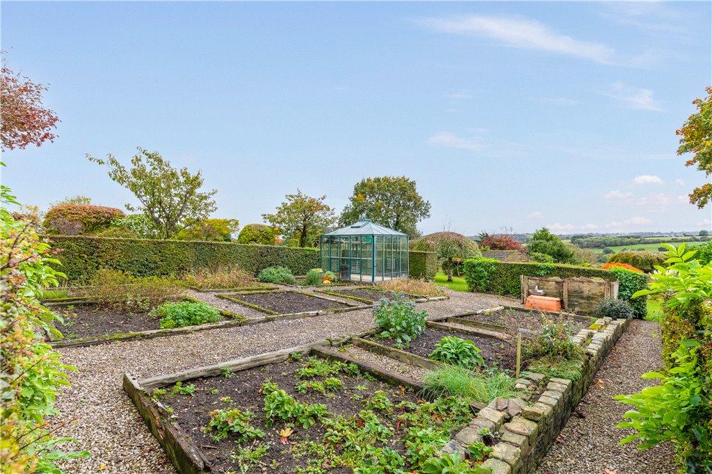 Veg Patch