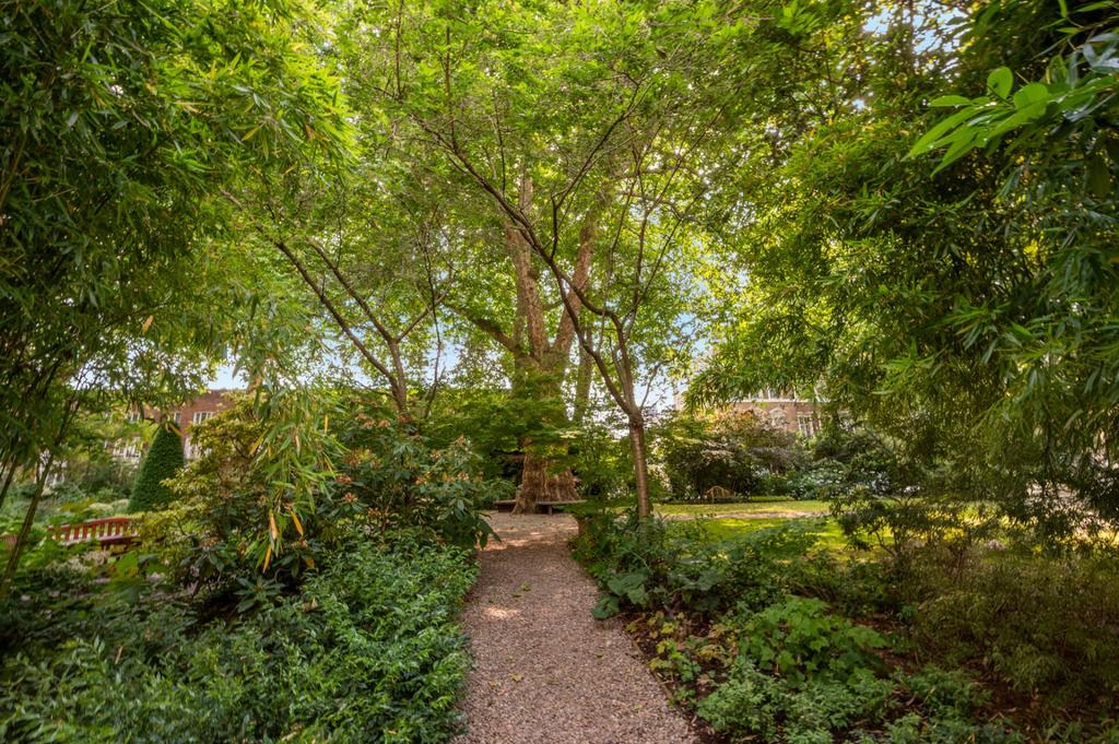 Communal Garden