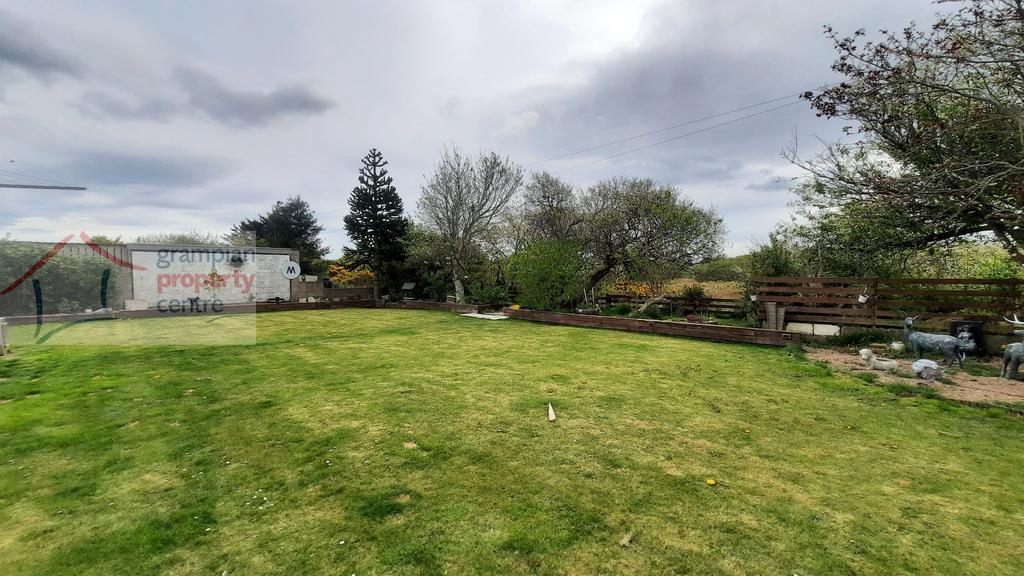 New garden 3